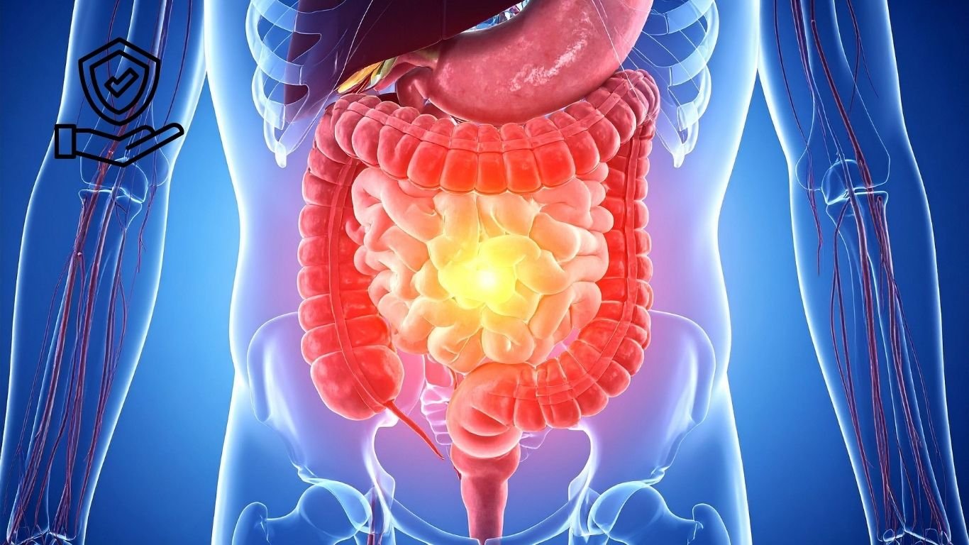 Hidden Gut Destroyers: Daily Habits That Damage Your Digestive System (2025 Guide)