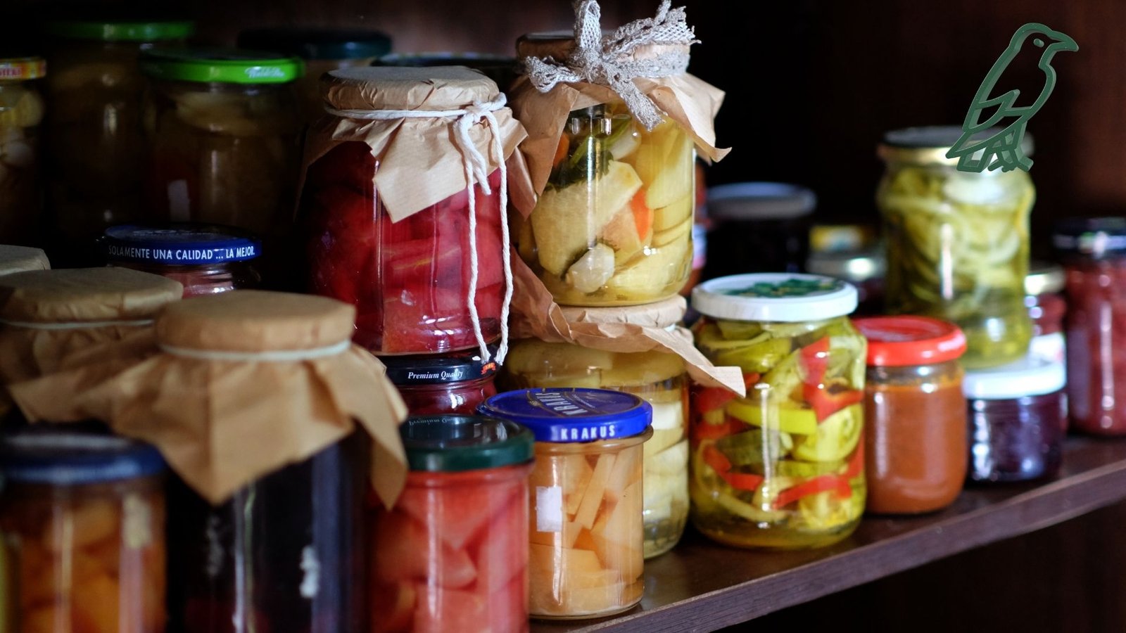 Fermented Foods for Kids