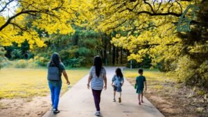 Stress & Gut Health in Children: Understanding the Connection